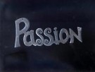 Before product-market fit, find passion-market fit